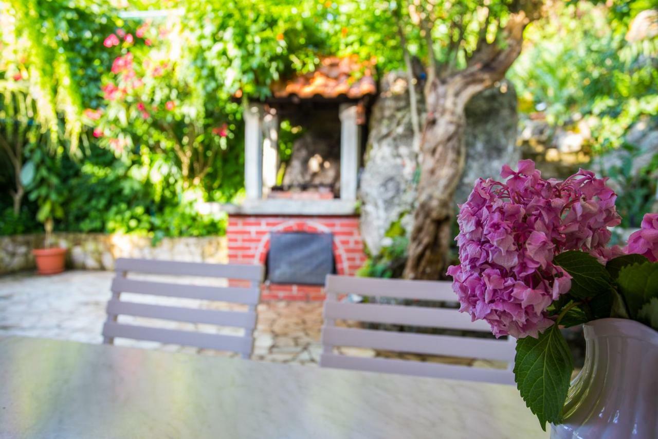 Villa Riva Molunat Kültér fotó